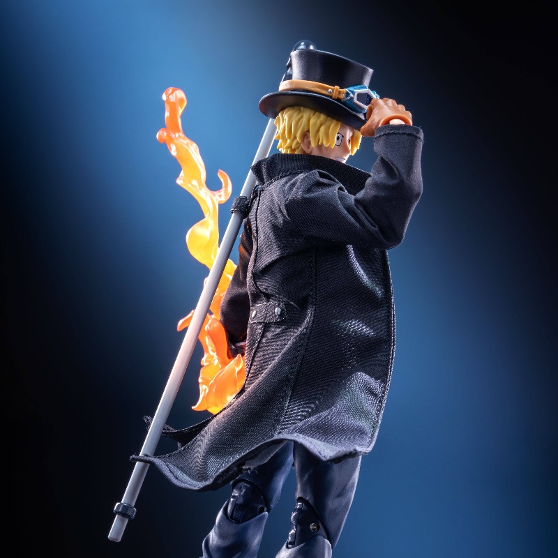 shf 1/12 scale Anime character - огляд і ціна Windbreaker Anime Merchandise