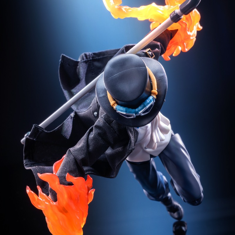 shf 1/12 scale Anime character - огляд і ціна Windbreaker Anime Merchandise