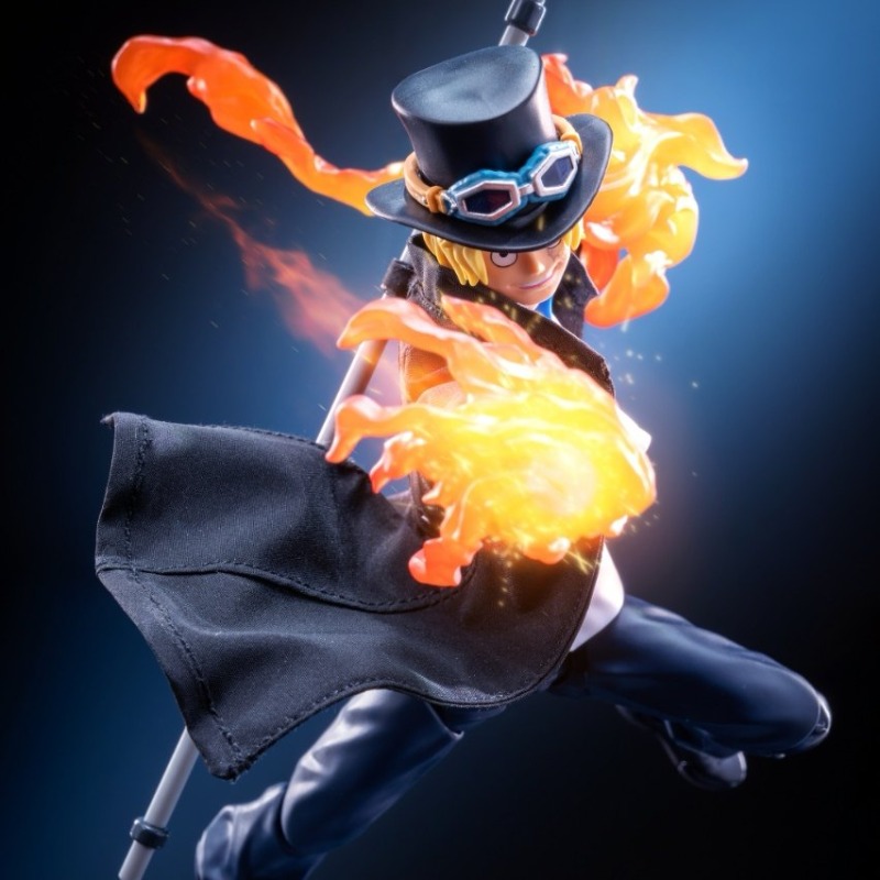 shf 1/12 scale Anime character - огляд і ціна Windbreaker Anime Merchandise