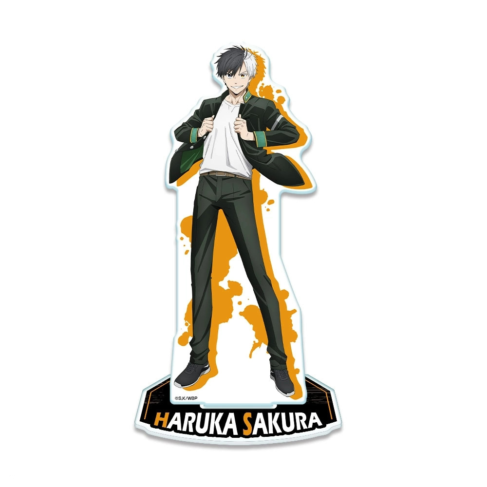 2026 WIND BREAKER Acrylic Stan - огляд і ціна Windbreaker Anime Merchandise